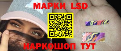 Альфа ПВП Малгобек