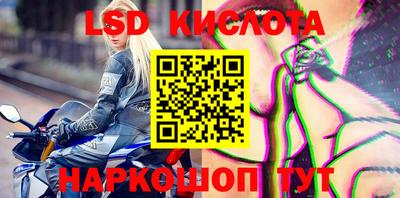 Альфа ПВП Малгобек