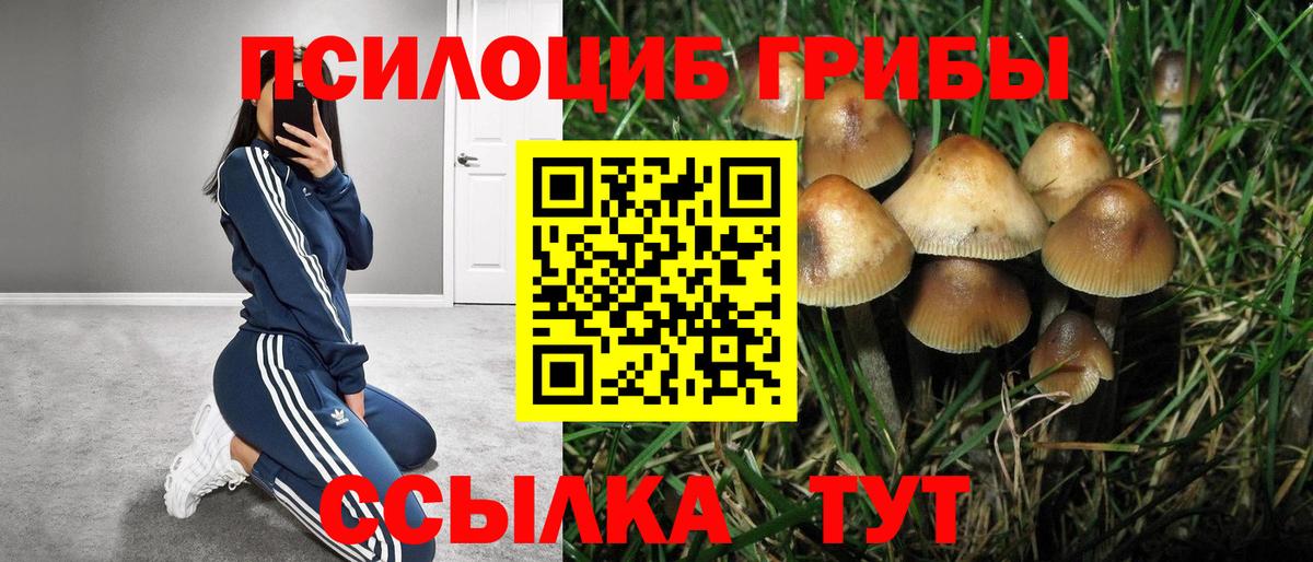 Псилоцибиновые грибы GOLDEN TEACHER  Вход с VPN  Вичуга 